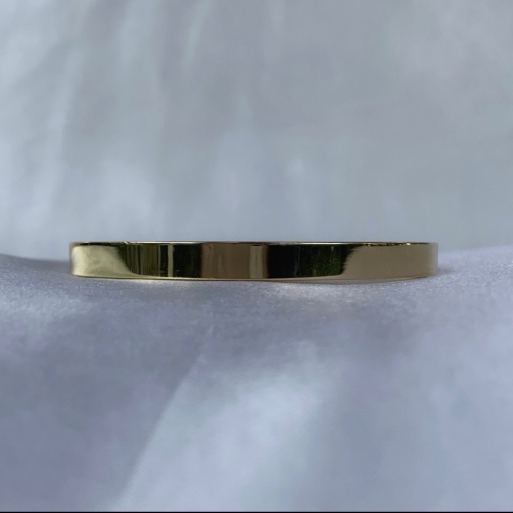 Titanium Gold Bangle